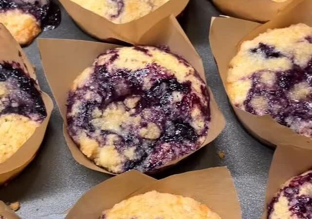 blueberry muffins recipe