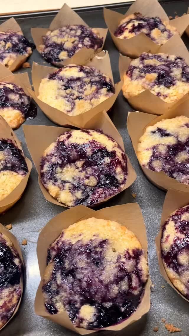 Blueberry Muffins