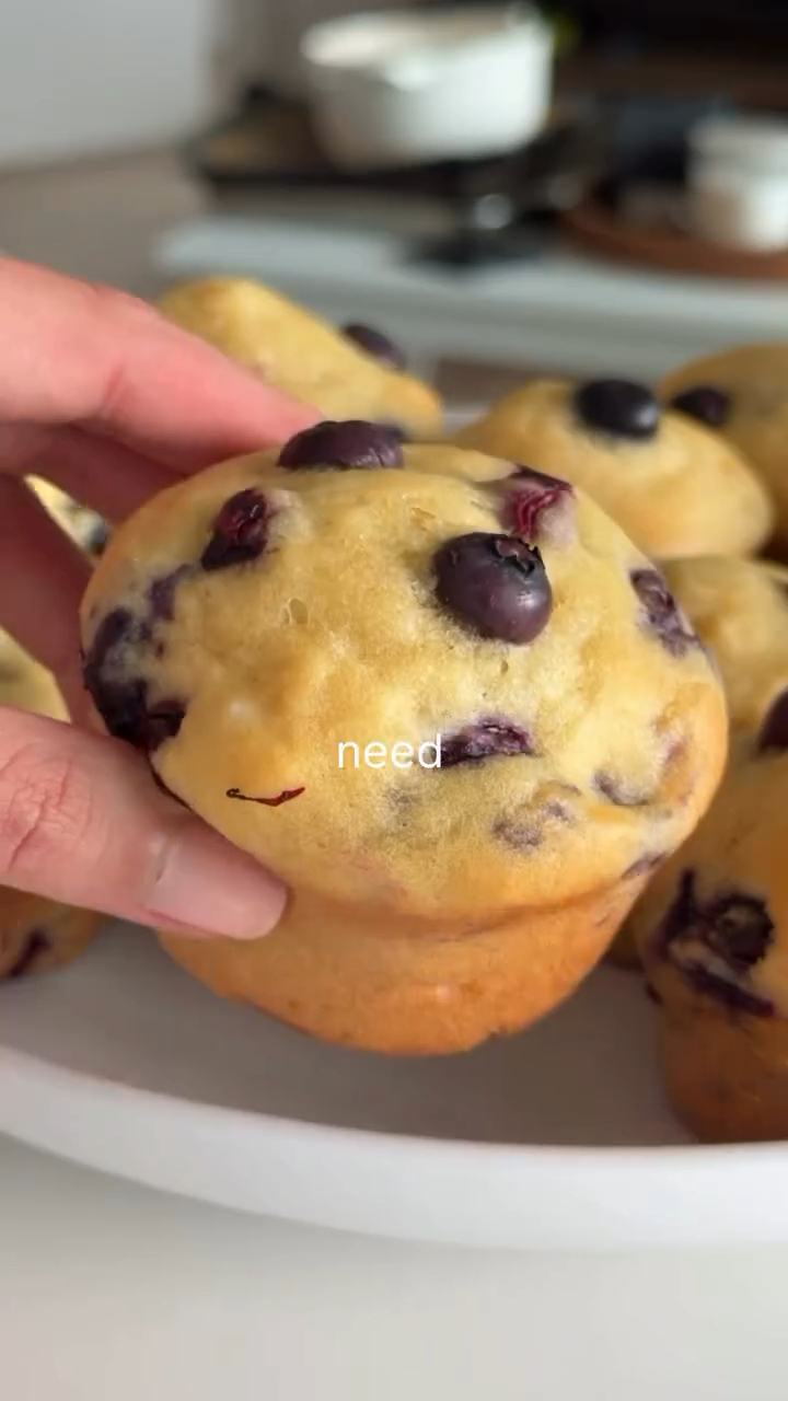 Blueberry Greek Yogurt Muffins — High Protein Breakfast