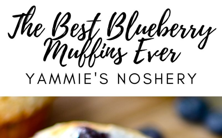 best blueberry muffins recipe