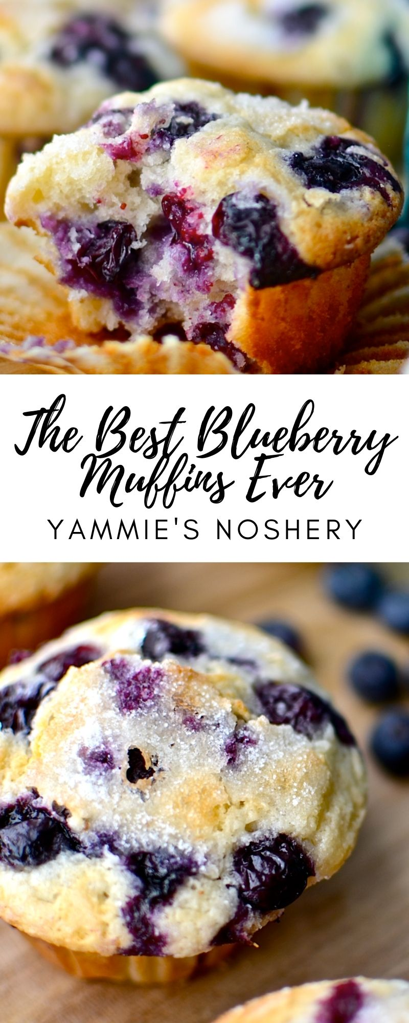 The Best Blueberry Muffins Ever
