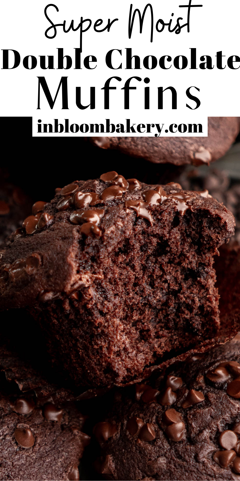 Double Chocolate Muffins - In Bloom Bakery