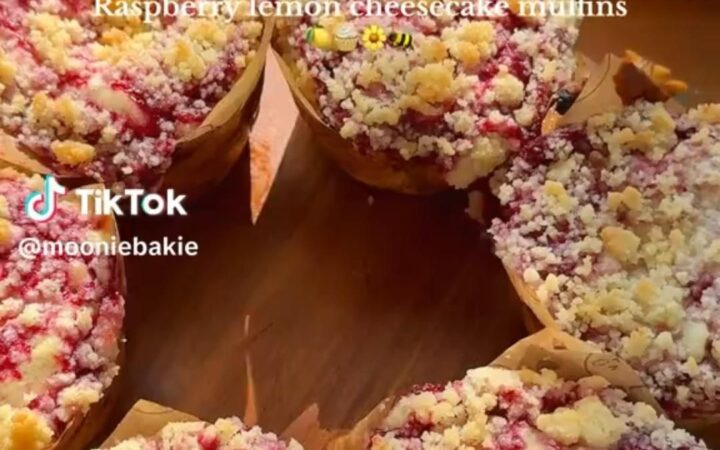 easy cheesecake bars recipe