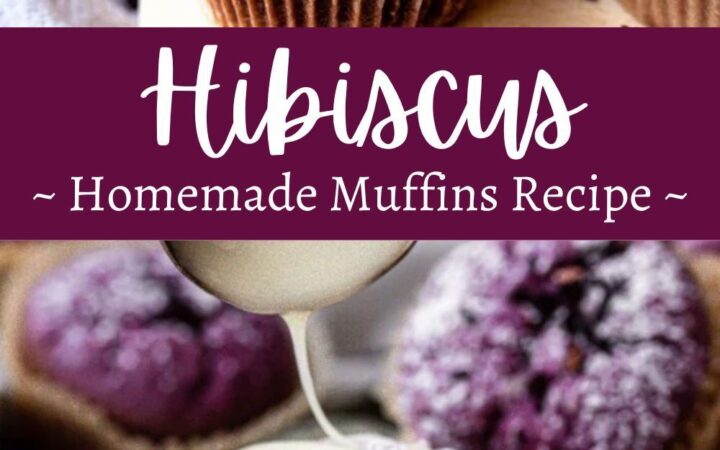 hibiscus muffins recipe