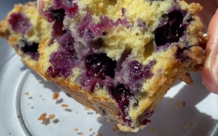 bakery style blueberry muffins
