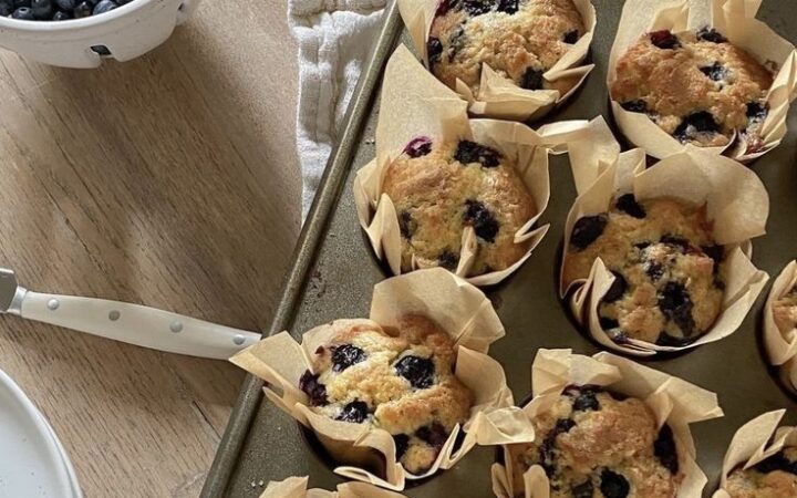 easy cheesecake bites recipe